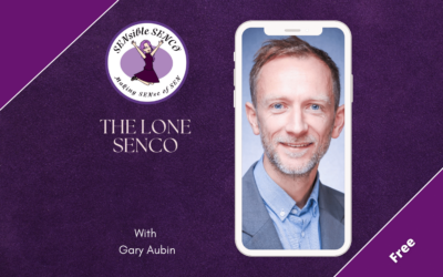 SENCO Practices and Support: Insights from ‘The Lone SENDCO’